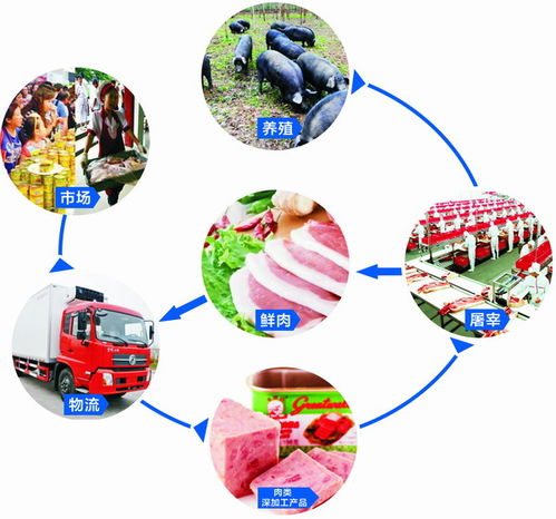 肉类产品食材批发与互联网信息服务 融合创新，赋能行业新生态